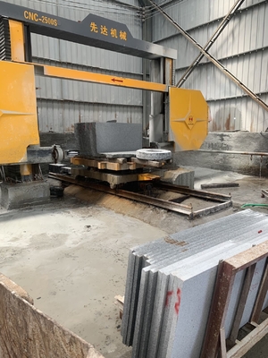 Diámetro de la rueda de 1600 mm Máquina CNC Saw de alambre de diamante con corte preciso